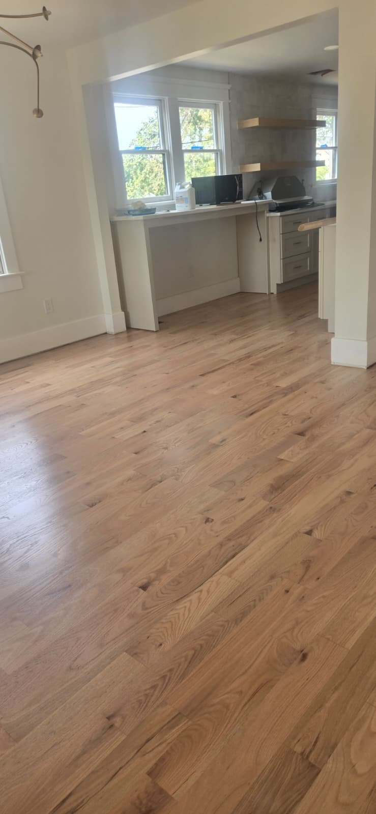 Gallery Image 14